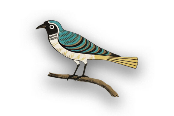 Download Vintage Beautiful Bird on a Wood - Vintage Collection